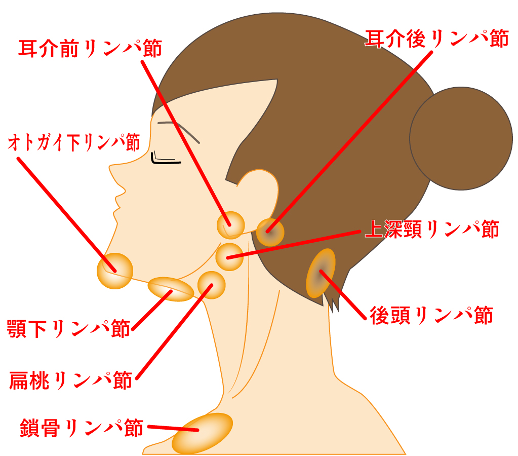 えら しこり 痛い