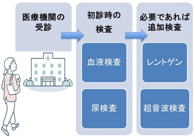 アルブミンが低いとどうなる?ー原因・症状・改善策 | 市川駅前本田内科クリニック